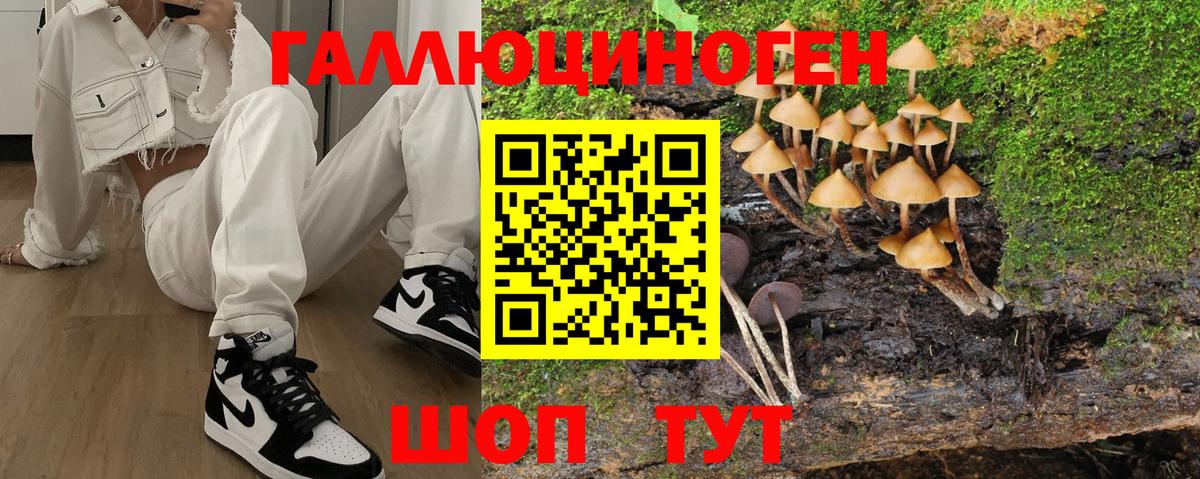 Псилоцибиновые грибы GOLDEN TEACHER Тара