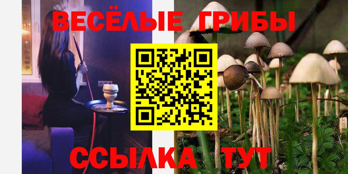 Тара  Псилоцибиновые грибы Magic Shrooms  Вход с VPN 